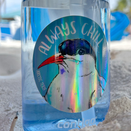 Holographic ARCTIC TERN Vinyl Sticker