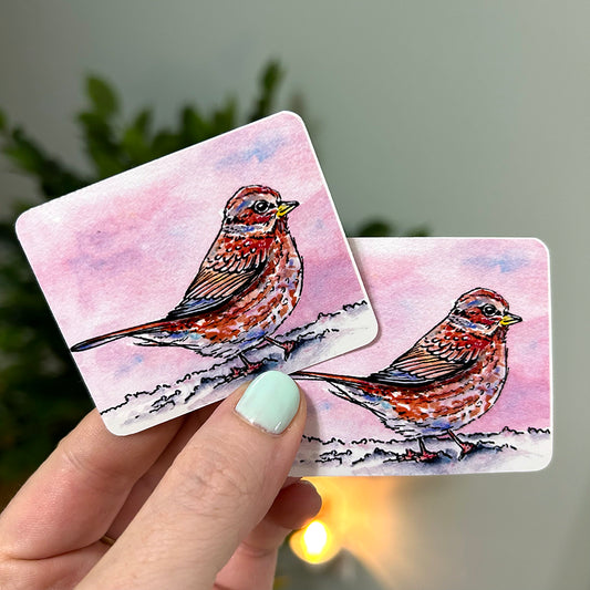 🪶 Sweet Winter Sparrow ✩ Sticker Set