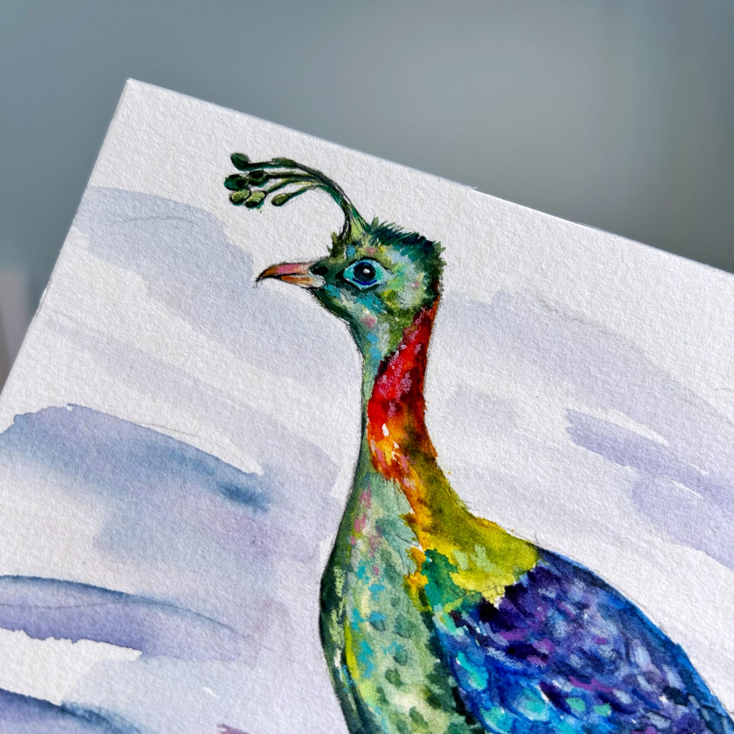 ORIGINAL ✩ Himalayan Monal Pheasant ✩ Watercolour Painting