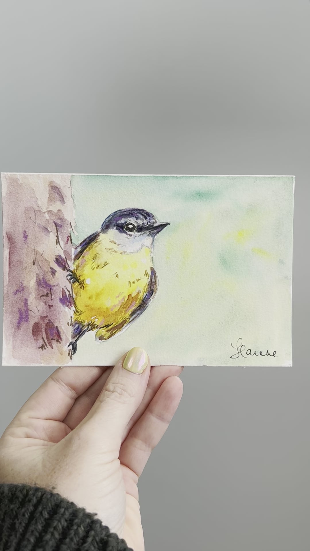 Video of Eastern Yellow Robin watercolour painting, 4x6".