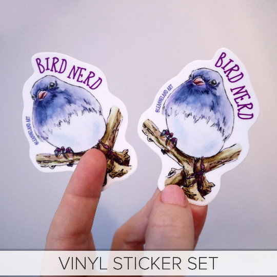Bird Nerd STICKER SET ✩ Large Vinyl Stickers
